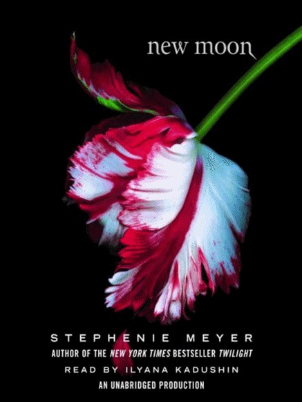 Bìa truyện New Moon